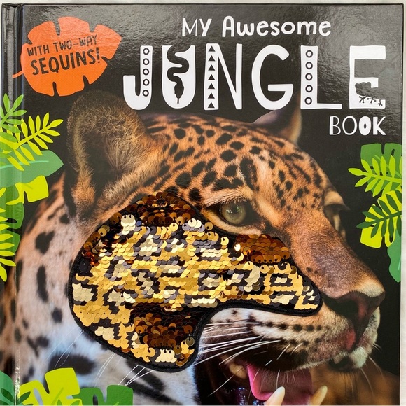 Dinosaur, Jungle, Dragon, Nature 5 Children’s Books - Picture 5 of 5